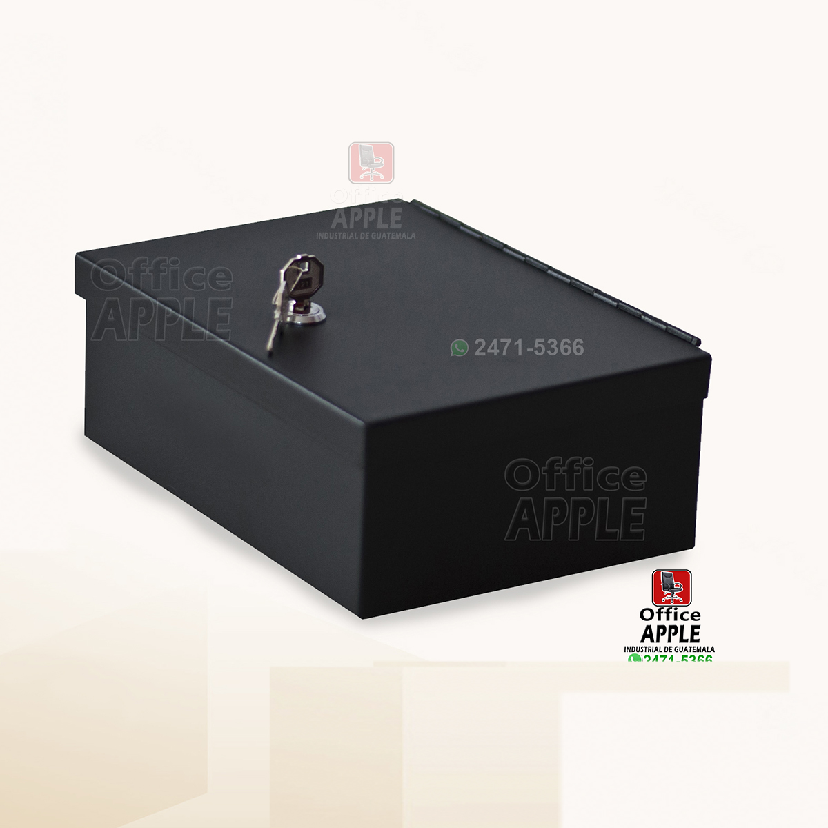 CAJA CHICA CAJA CHICA