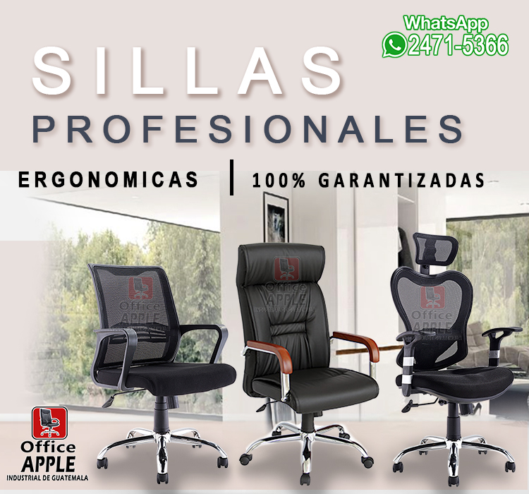 SILLAS PROFESIONALES VERTICAL